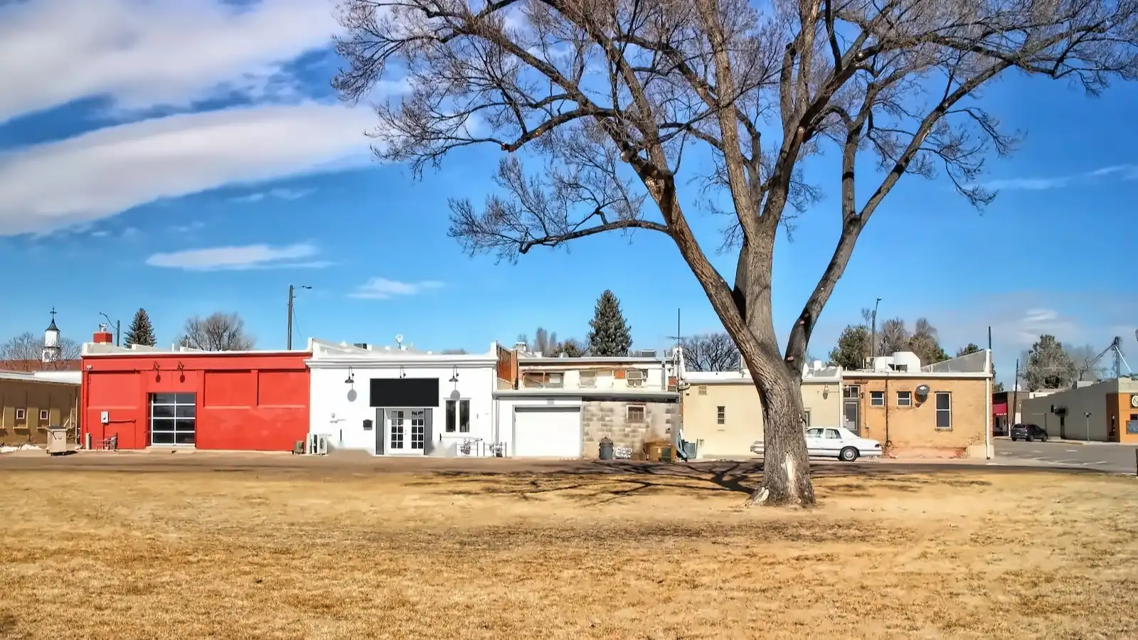 Downtown Eaton, Colorado storefronts behind a large bare cottonwood tree on a sunny winter day