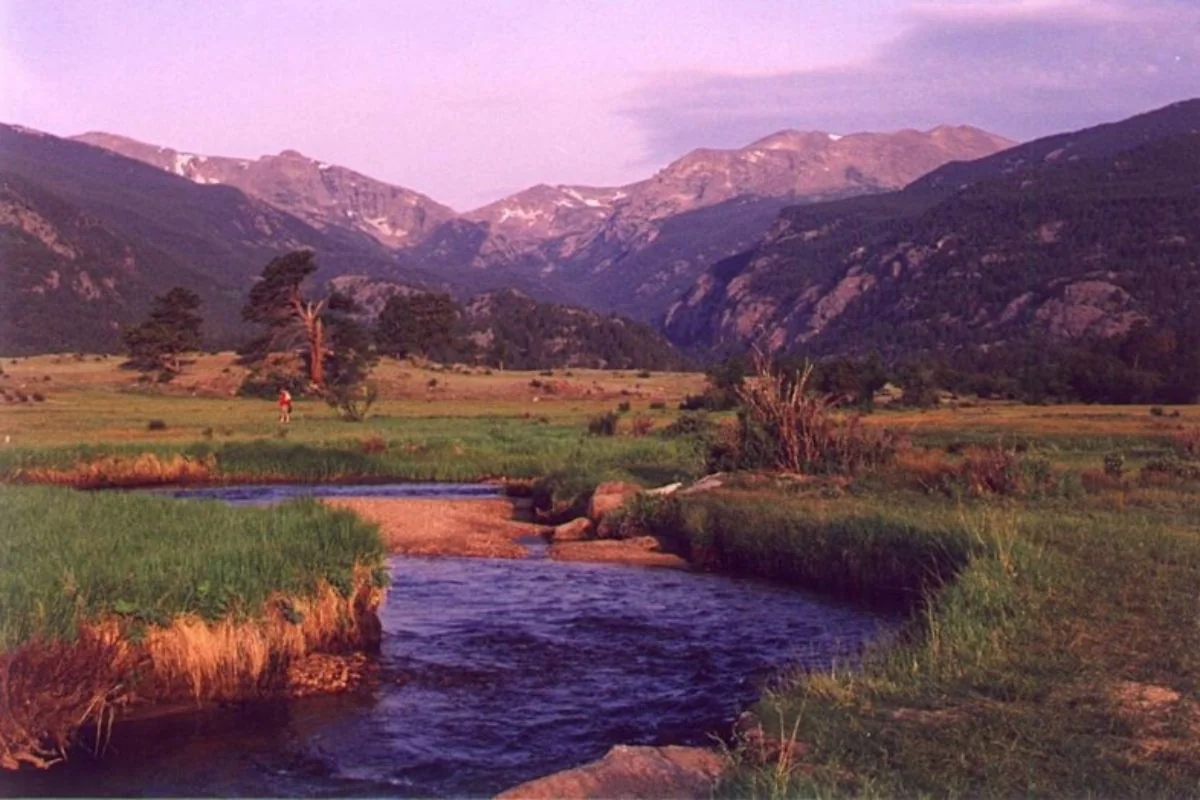 Mountain stream winding through a grassy valley at sunset